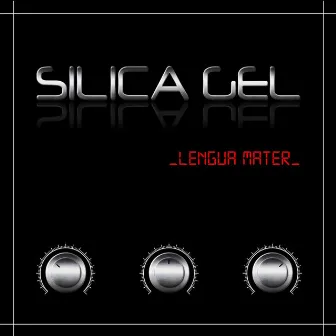 Lengua Mater by Silica Gel