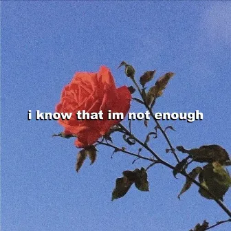 I Know That Im Not Enough by R.L. Beats