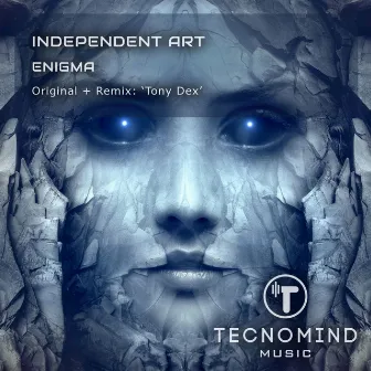 Enigma by Independent Art