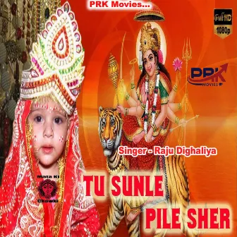 Tu Sunle Pile Sher by Unknown Artist