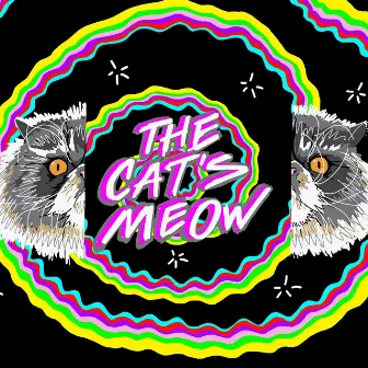 The Cat's Meow by The Gaslamp Killer