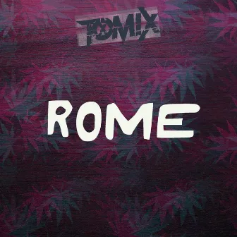 Rome by ToMix