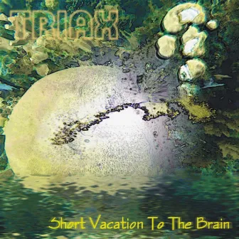 Short Vacation To the Brain by Triax