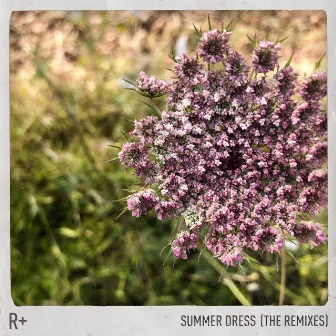 Summer Dress (The Remixes) by R Plus