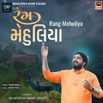 Rang Mehuliya by 