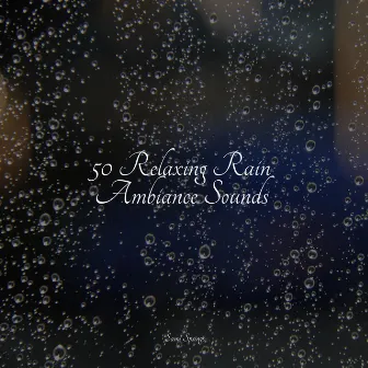 50 Relaxing Rain Ambiance Sounds by Unknown Artist