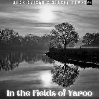 In the Fields Yaroo by Stacey James