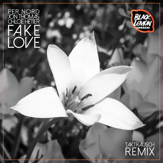 Fake Love - Takt Rausch Remix