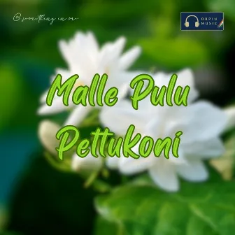 Malle Pulu Pettukoni by KJ Tunes