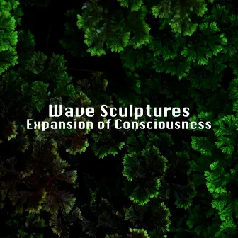 Expansion of Consciousness by Wave Sculptures