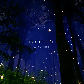 Try It Out by Stay Nice