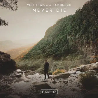 Never Die by Yoel Lewis