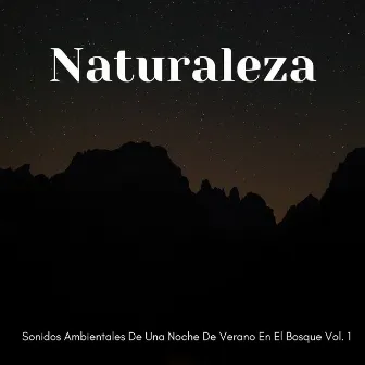 Naturaleza: Sonidos Ambientales De Una Noche De Verano En El Bosque Vol. 1 by Sueño Sonidos HD