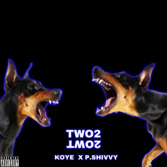 Two2 by P.Shivvy