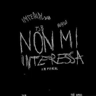 Non mi interessa by CIRO