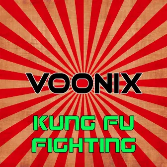 Kung Fu Fighting by Voonix