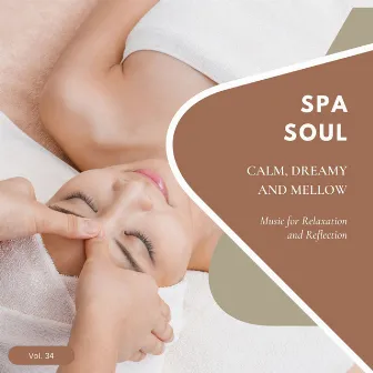 Spa Soul - Calm, Dreamy and Mellow Music for Relaxation and Reflextion, Vol. 34 by Mind Exchange