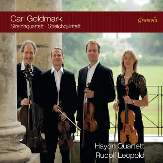 Goldmark: String Quartet in B-Flat Major, Op. 8 & String Quintet in A Minor, Op. 9 by The Haydn Quartet