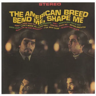 Bend Me, Shape Me by American Breed