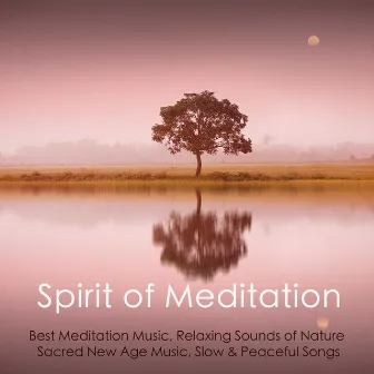 Spirit of Meditation - Best Meditation Music, Relaxing Sounds of Nature, Sacred New Age Music, Slow & Peaceful Songs by Meditation Music Guru