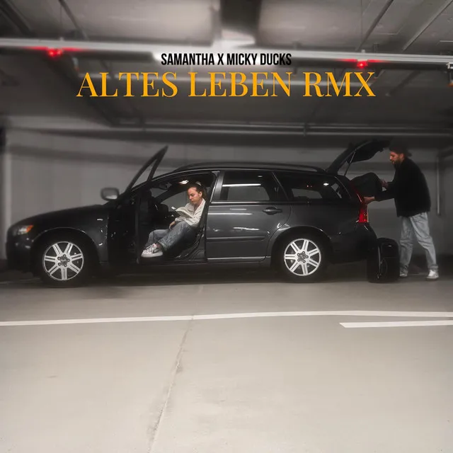 Altes Leben - Remix