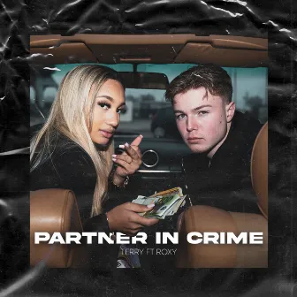 Partner in Crime by Terry