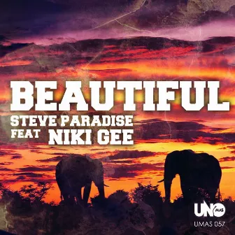 Beautiful (feat. Niki Gee) [Lukas Wolf Remix] by Steve Paradise