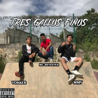 Tres Gallos Finos by MMV