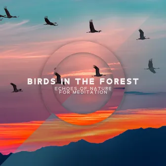 Birds in the Forest: Echoes of Nature for Meditation, Healing Flute & River Sounds by Zen River Meditation