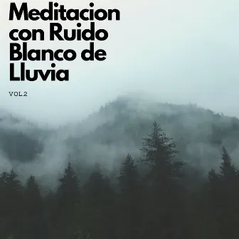 Meditación Con Ruido Blanco De Lluvia Vol. 2 by Relajación de ruido blanco natural