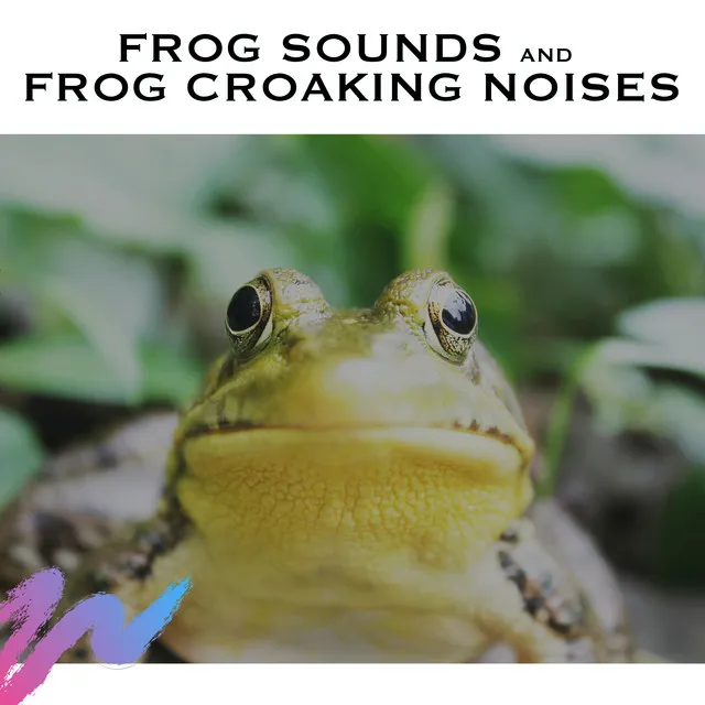 Frog Sounds and Frog Croaking Noises