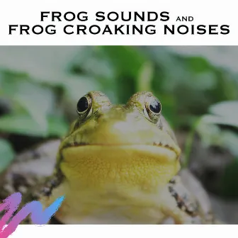 Frog Sounds and Frog Croaking Noises by Frog Sounds