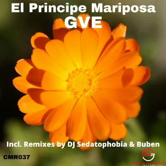 El Principe Mariposa by GVE