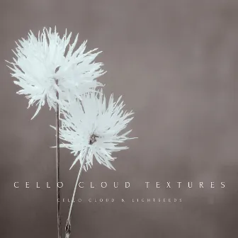 Cello Cloud Textures by Lightseeds