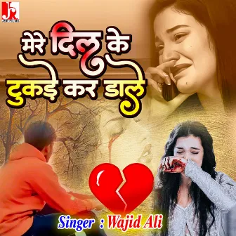 Mere Dil Ke Tukde Kar Dale by Wajid Ali