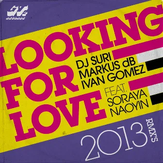 Looking for Love 2013 by Dj Suri