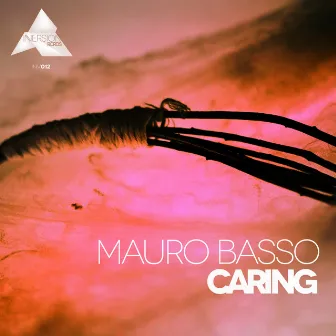 Caring by Mauro Basso