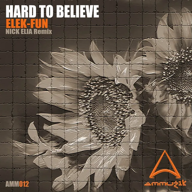 Hard to Believe - Nick Elia Remix