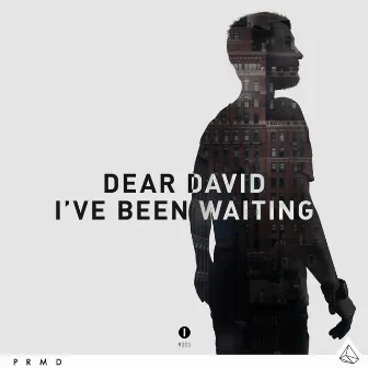 I've Been Waiting by Dear David