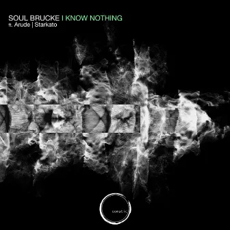 I Know Nothing by Soul Brucke