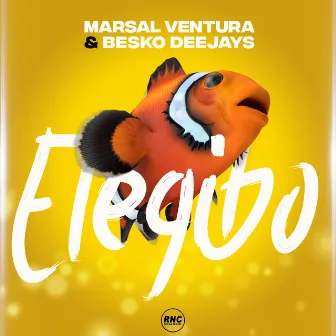 Elegibo by MARSAL VENTURA