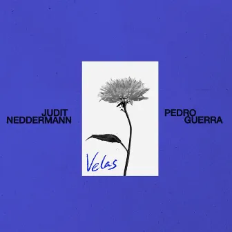 Velas by Judit Neddermann