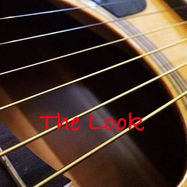 The Look (Instrumental)