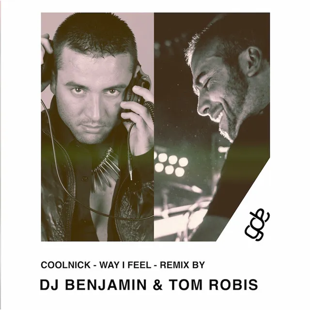 Way I Feel - Remix by Dj Benjamin & Tom Robis