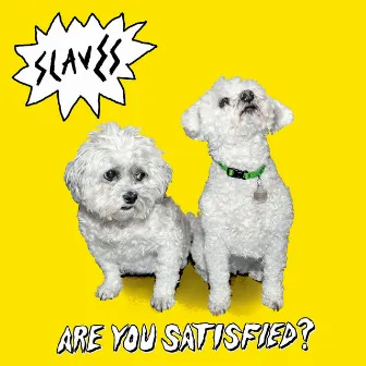 Are You Satisfied? (Deluxe) by SOFT PLAY