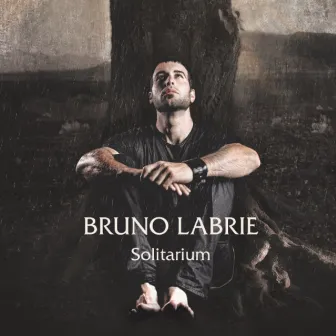 Solitarium by Bruno Labrie