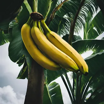 Banana by Nitin Singh