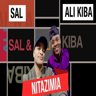 Nitazimia by Sal