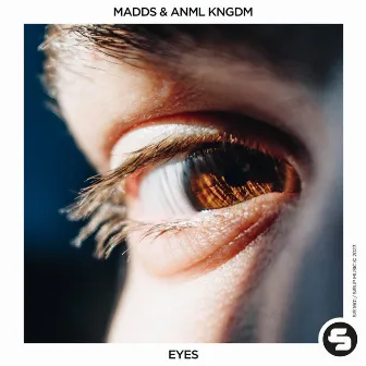 Eyes by ANML KNGDM