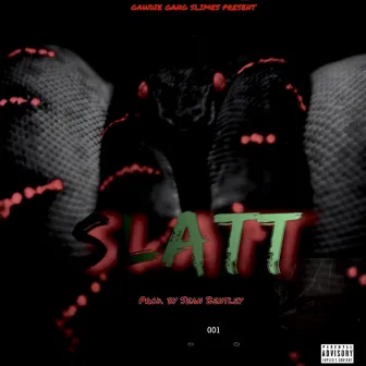 SLATT by Ggaawwddiiee